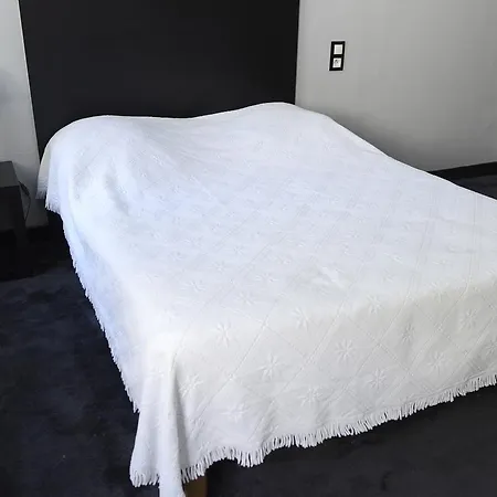 Brasserie Du Parc 2*