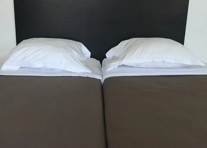 オテル ブラッスリー デュ パルク 2* アルビ