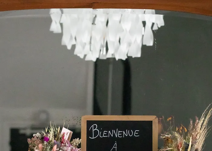 オテル ブラッスリー デュ パルク ホテル アルビ