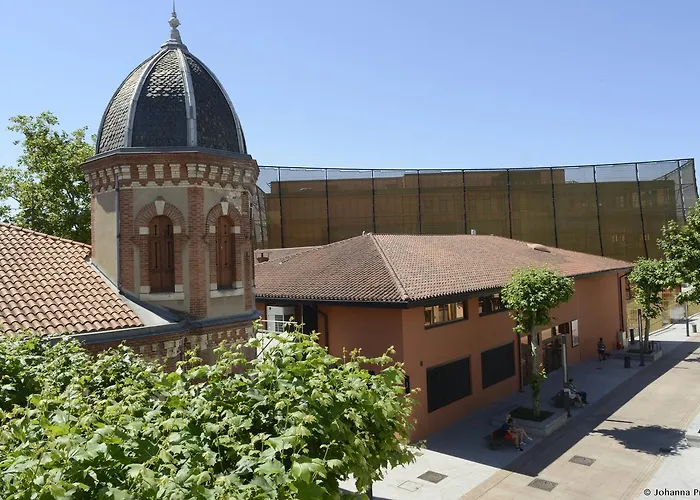 オテル ブラッスリー デュ パルク 2* アルビ