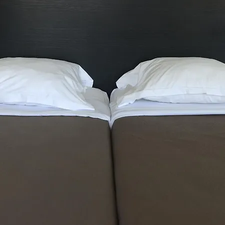 公园的啤酒屋酒店 2* 阿尔比