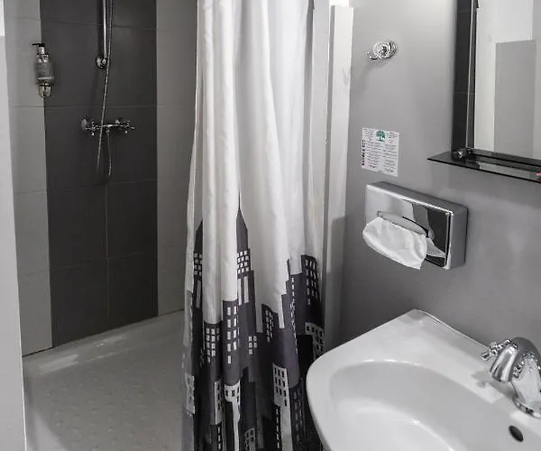 オテル ブラッスリー デュ パルク ホテル