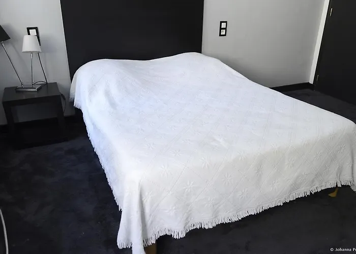 オテル ブラッスリー デュ パルク 2*