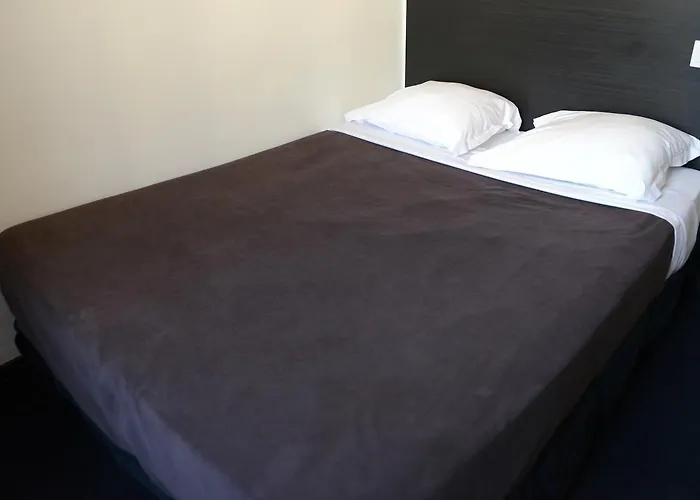 オテル ブラッスリー デュ パルク ホテル アルビ