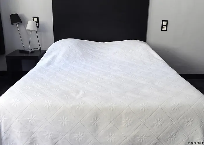 オテル ブラッスリー デュ パルク ホテル アルビ