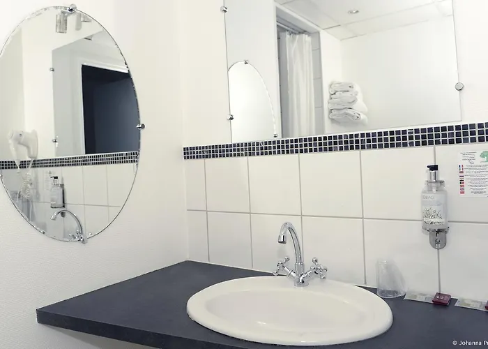 ホテル オテル ブラッスリー デュ パルク アルビ