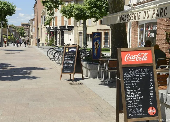 ホテル オテル ブラッスリー デュ パルク アルビ