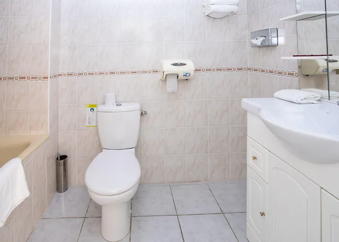 オテル ブラッスリー デュ パルク アルビ