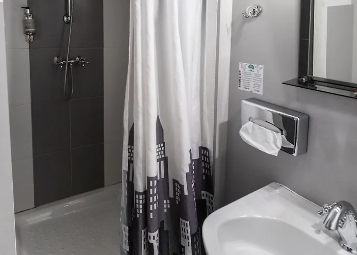 ホテル オテル ブラッスリー デュ パルク アルビ