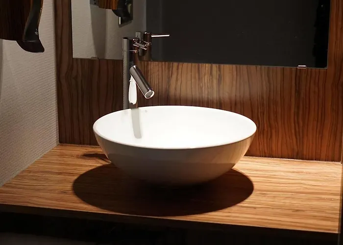 オテル ブラッスリー デュ パルク ホテル アルビ